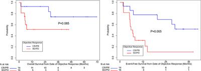 Neoadjuvant checkpoint inhibitor immunotherapy for resectable mucosal melanoma